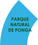 PARQUE  NATURAL  DE PONGA