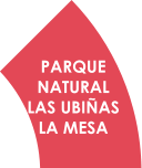PARQUE  NATURAL  LAS UBIÑAS  LA MESA