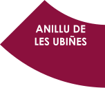 ANILLU DE LES UBIÑES